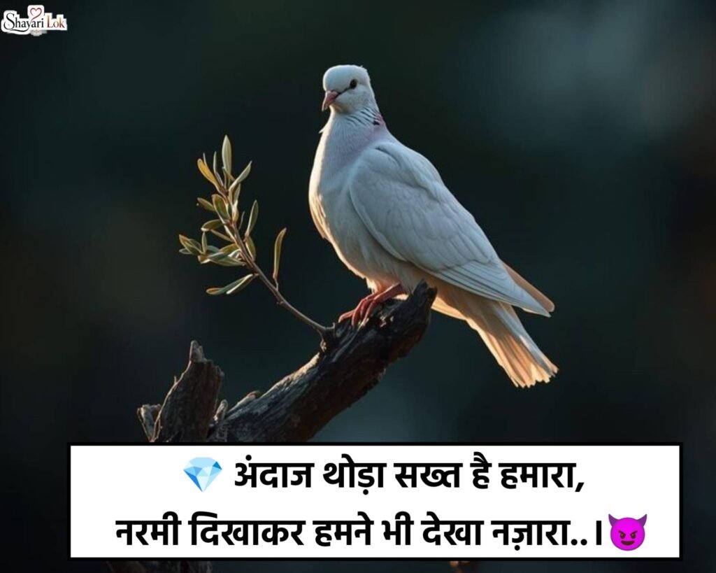 Instagram Attitude Shayari in Hindi